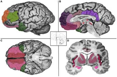 Theory of affective pragmatics under biolinguistics